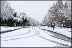 DigitalScape Photography